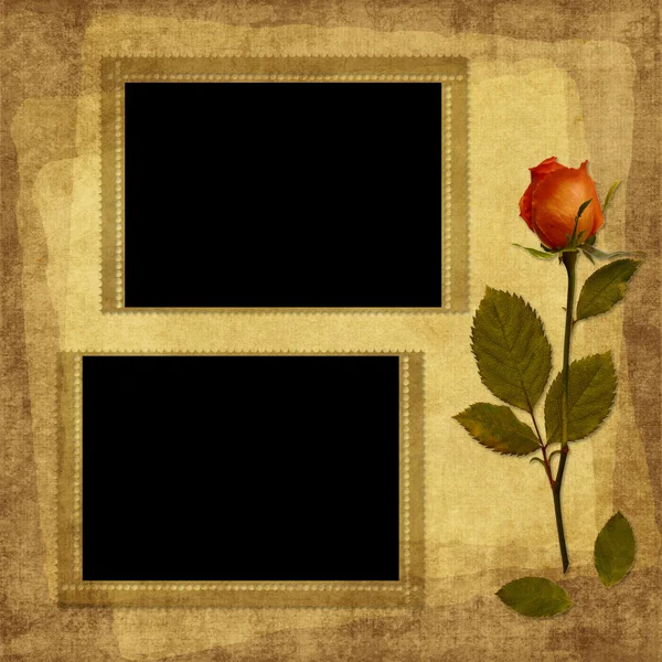 Ročník kartu od starého papíru a růže — Stock fotografie