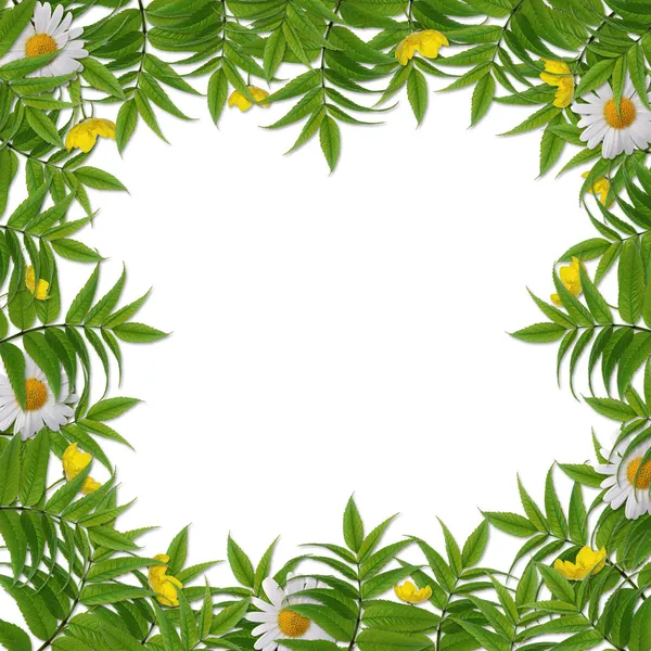 Bílý rámeček s květinou — Stock fotografie