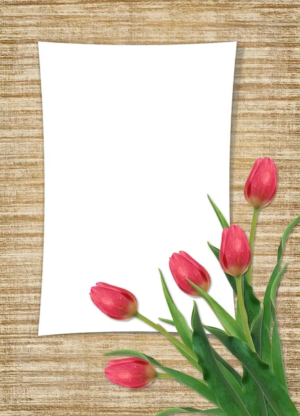 Картка на свято з квіткою — стокове фото