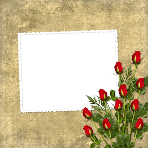 Карточка на праздник с красной розой — стоковое фото