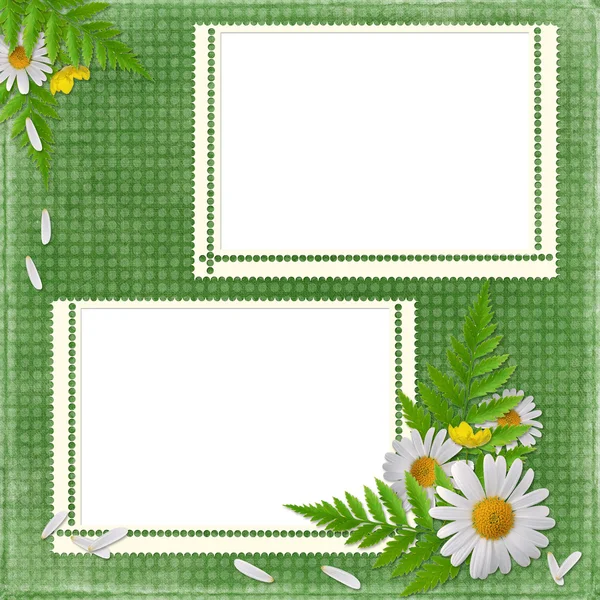 Çiçekler ile tatil için kart — Stok fotoğraf