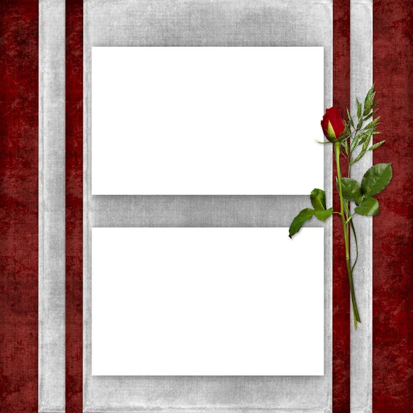 Card pentru vacanță cu trandafir roșu — Fotografie, imagine de stoc
