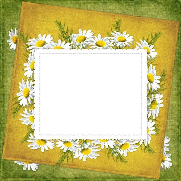 Картка на свято з квітами — стокове фото