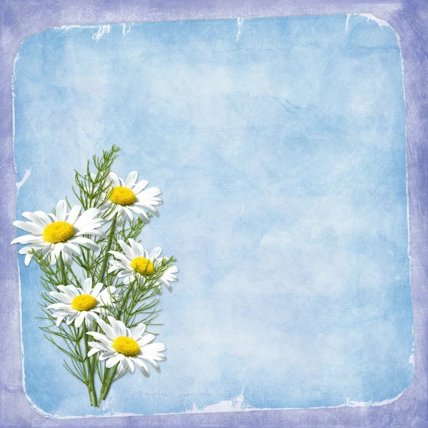Cartão para o feriado com flores — Fotografia de Stock