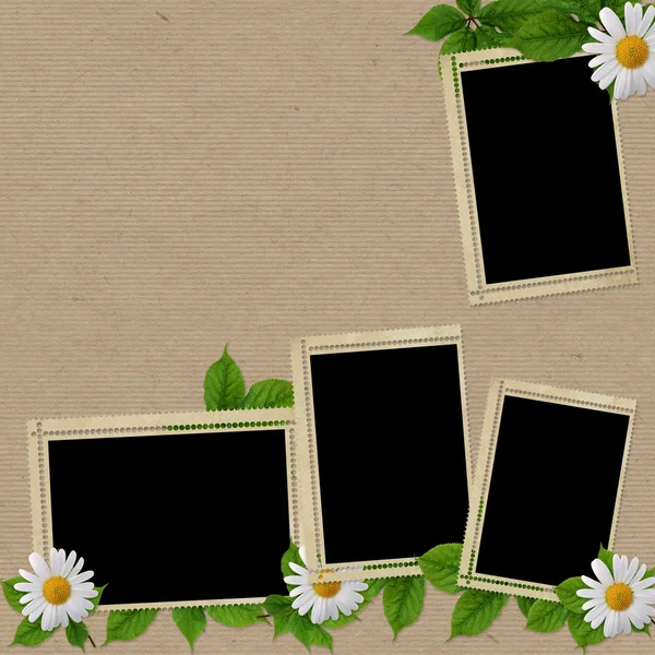 Wzór karty na wakacje z kwiatem — Zdjęcie stockowe