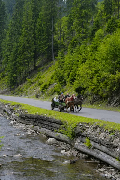 at araç