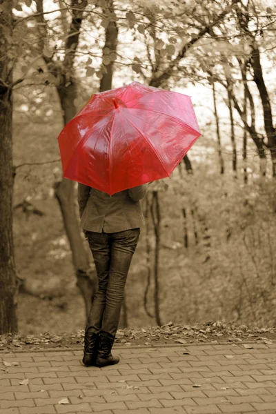 Das Mädchen und der Regenschirm Stockbild
