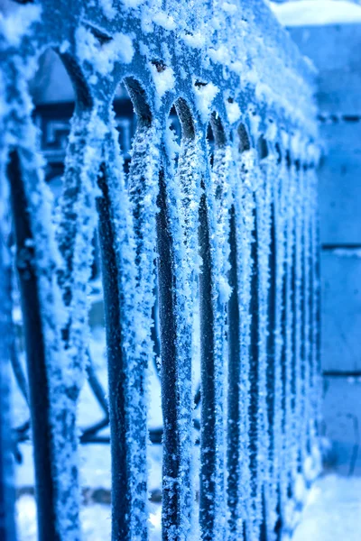 Frost — Fotografie, imagine de stoc