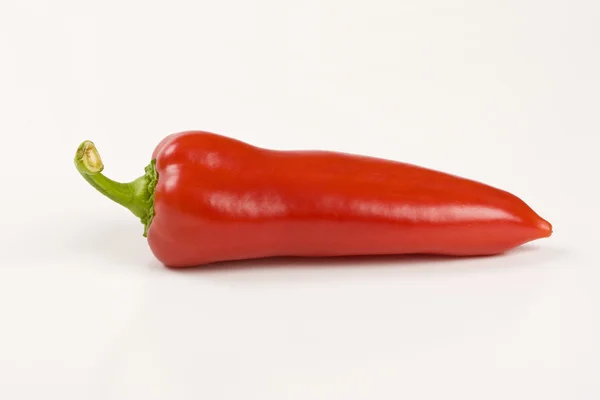 stock image Red pepper