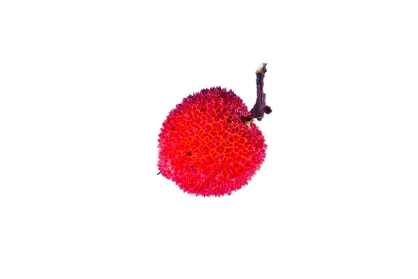 Jordgubbe träd frukt — Stockfoto