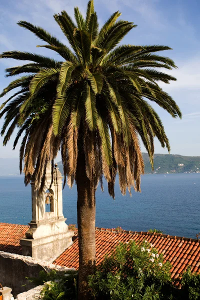 Fa, tetőcserepek, harangláb. Adriai-tenger — Stock Fotó