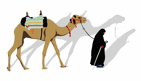 Égypte _ transport — Image vectorielle