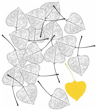 Leaf1 clipart