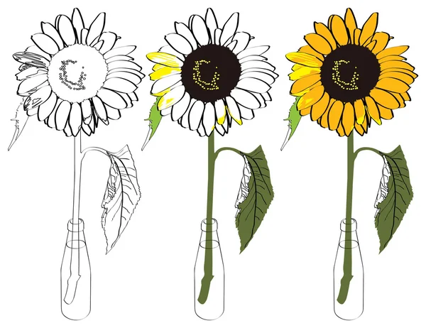 Sonnenblumenflasche — Stockvektor