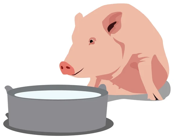 Pig_and_trough — Stock Vector