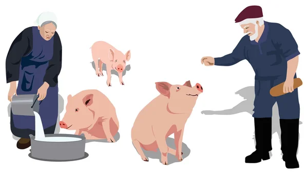 Pigs_people_farm — Stockvector