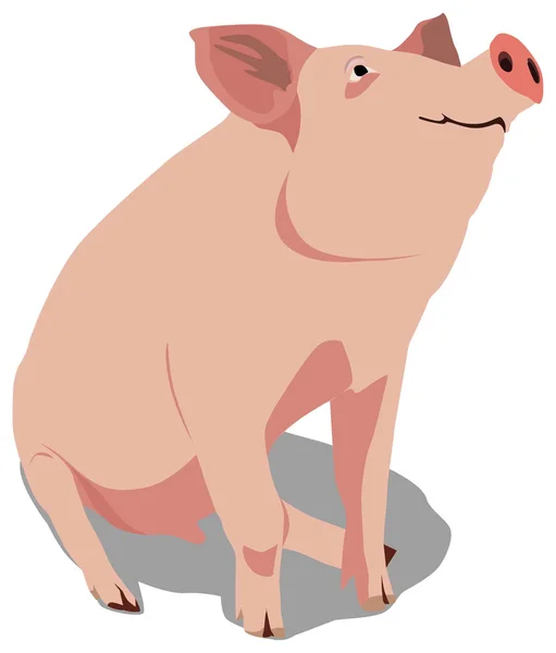 Pig_hog Ліцензійні Стокові Ілюстрації