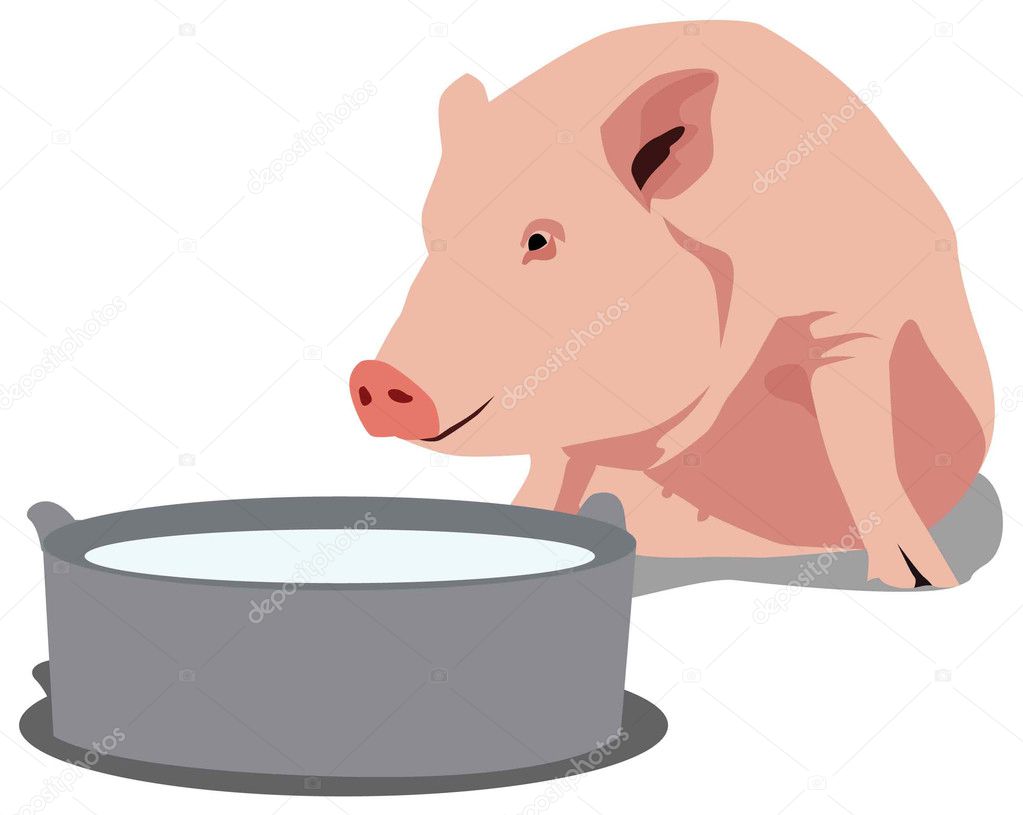 Pig_and_trough