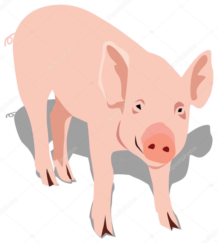Pig_young-Pigling