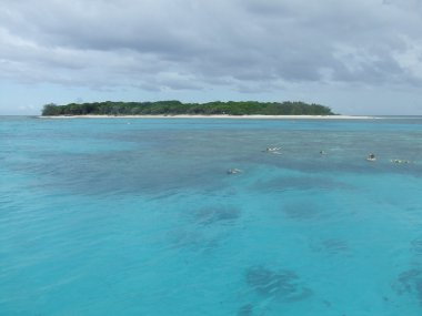 Bayan musgrave Adası büyük Set Resifi