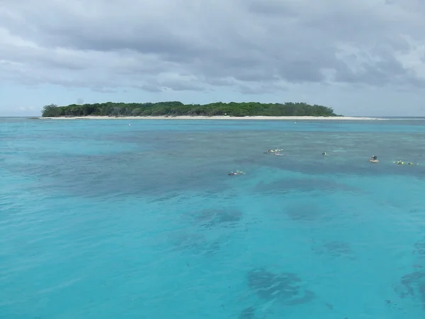 Pani musgrave wyspy Wielka rafa koralowa Zdjęcia Stockowe bez tantiem