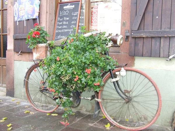 Floral Bicycle — Stock Photo, Image