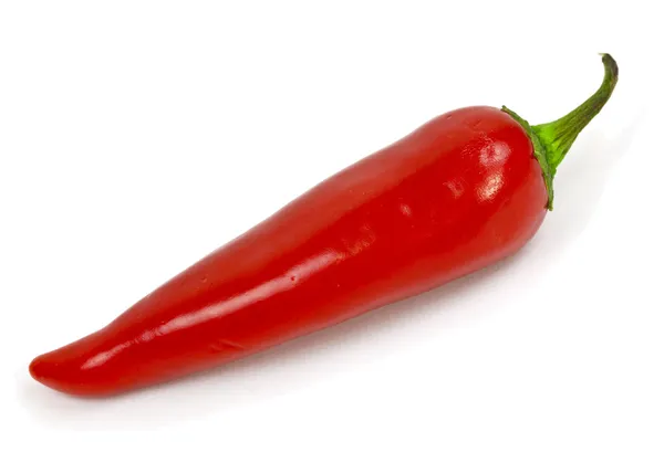 Червоний гарячий перець чилі — стокове фото