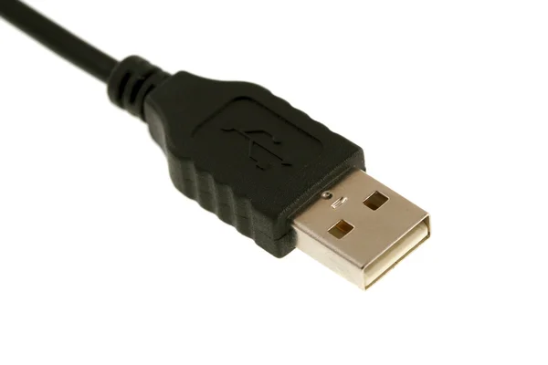 Καλώδιο USB μονωμένο σε λευκό — Φωτογραφία Αρχείου