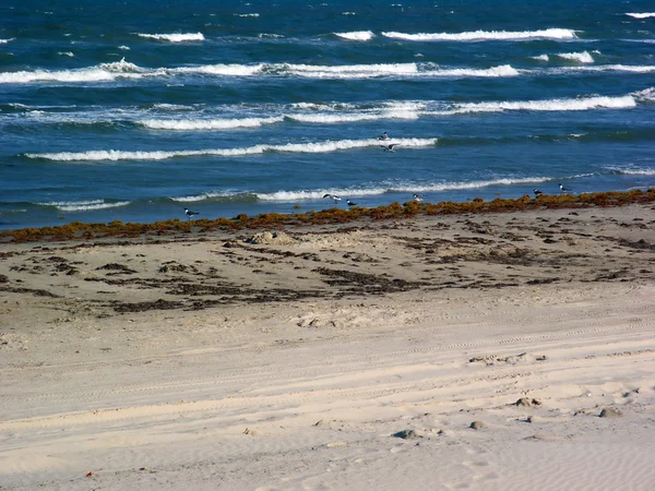 Primera línea de playa — Foto de Stock