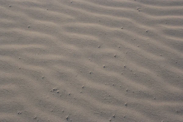 Spiaggia di sabbia Immagine Stock