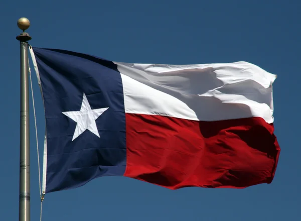 德克萨斯国旗 免版税图库图片
