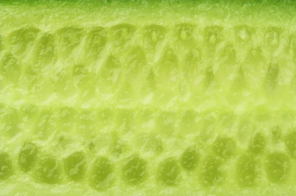 Plakje komkommer — Stockfoto