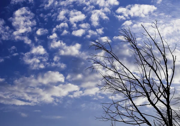 stock image Spring time