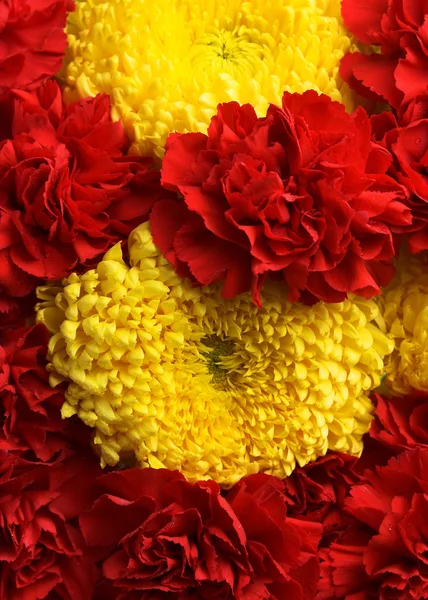 Garofani e crisantemi — Foto Stock