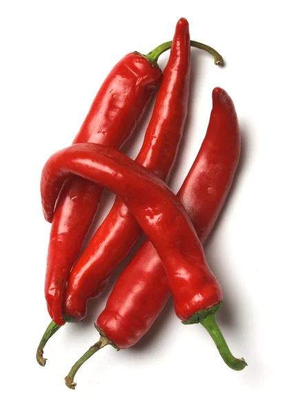 Four red hot chilli peppers — Stock Photo, Image