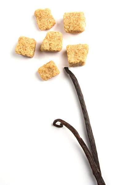Vanilla-sugar flower — Stock Photo, Image