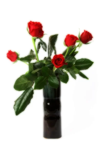 Röda rosor bukett — Stockfoto