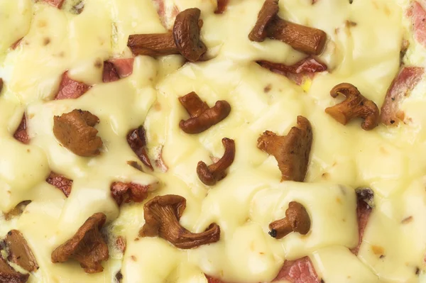 stock image Omelet with mushrooms close-up