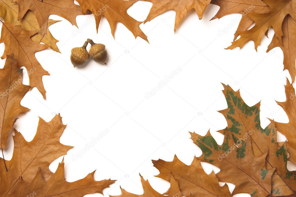 Oak leaves frame
