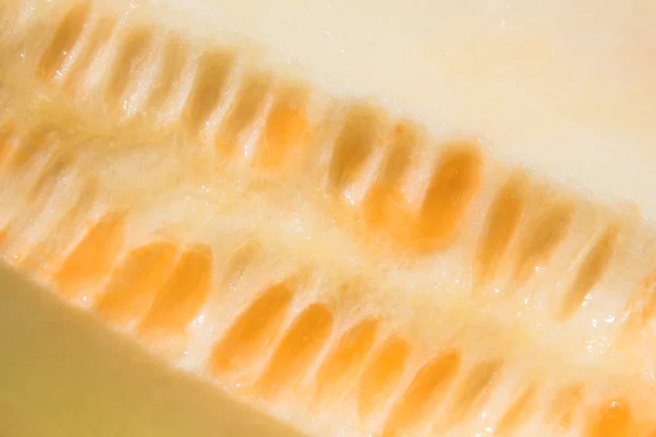 Primo piano melone — Foto Stock