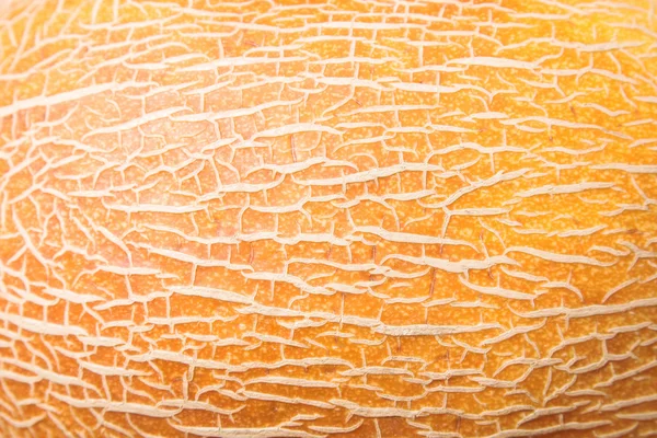 Textura de casca de melão — Fotografia de Stock