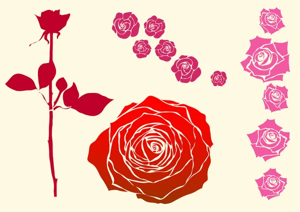 Rosen in unterschiedlichem Design — Stockvektor