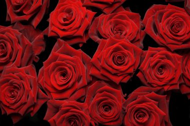 Bunch of red roses clipart