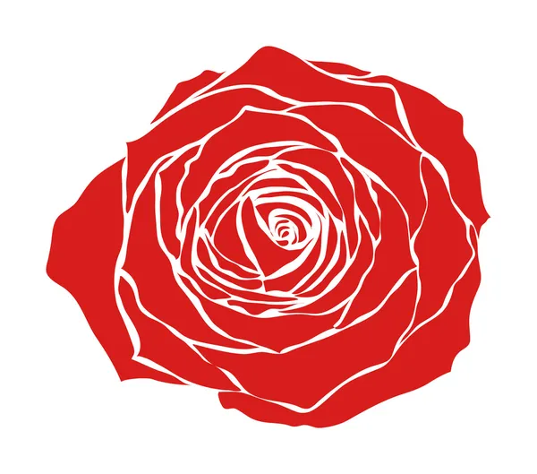 Rosa rossa — Vettoriale Stock