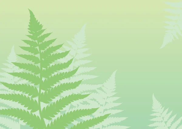 绿色蕨类植物背景 — 图库矢量图片
