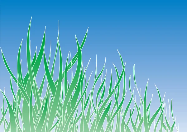 緑の草 — ストックベクタ