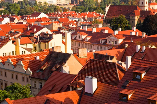 Červené střechy z Prahy — Stock fotografie