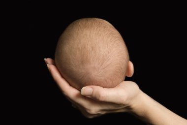 Five week old baby feet held in mothers clipart