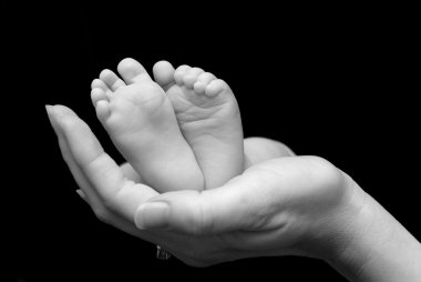 Five week old baby feet held in mothers clipart