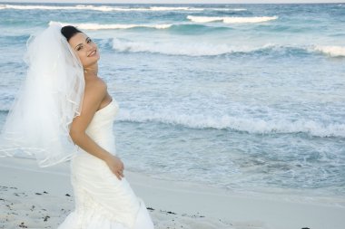 Caribbean Beach Wedding clipart